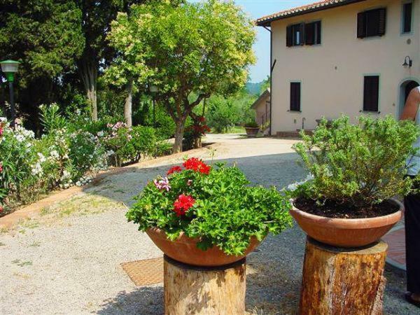 Villa Fattoria Casanova à Palaia Extérieur photo