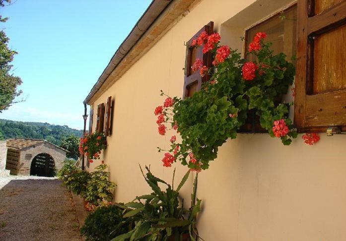 Villa Fattoria Casanova à Palaia Extérieur photo